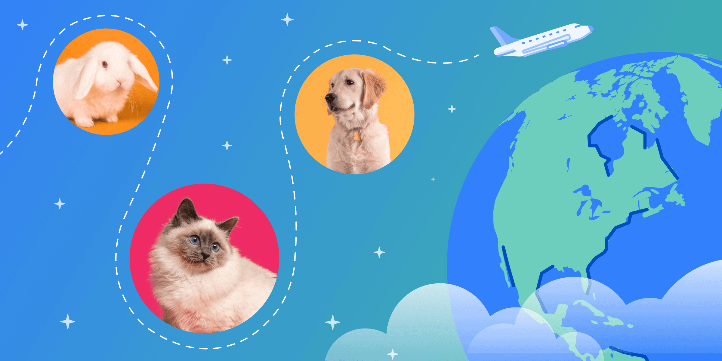 Photos of a bunny, dog, and cat on top of an illustration of the earth. A blog header that represents can I bring my pet while studying abroad?
