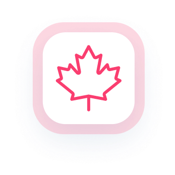 An outline of a red maple leaf