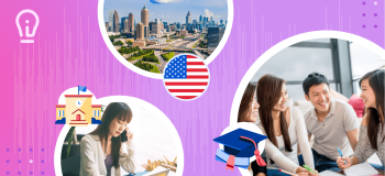 ApplyInsights - Blog header